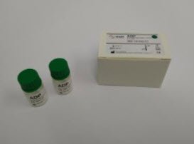 ADP 0.2mM - 2 x 1.0ml