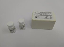 Collagen 100ug/ml - 2 x 1.0ml