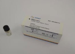Dimer-Con 2