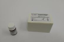 Epinephrine 100uM - 1 x 1.0ml