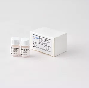 Collagen 100ug/ml