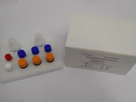 ULTRASENSE ATIII-IIa Assay Kit