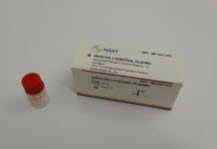 Vericon 2 Control Plasma